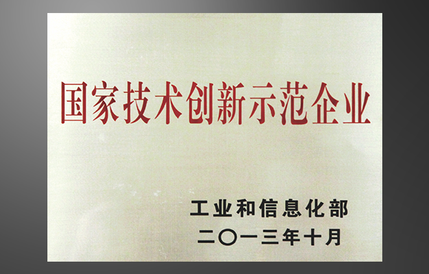國家技術(shù)創(chuàng)新示范企業(yè)