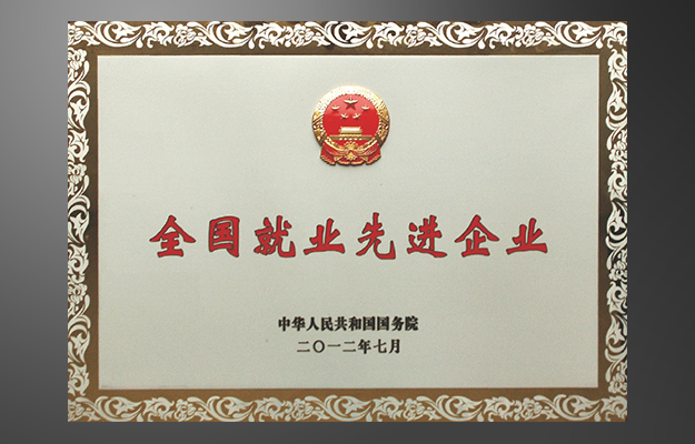 全國就業(yè)先進企業(yè)