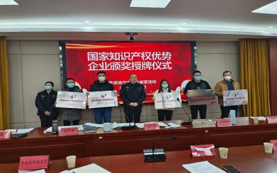 長虹華意榮獲2022年度“國家知識產(chǎn)權(quán)優(yōu)勢企業(yè)”